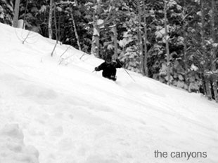 Canyons