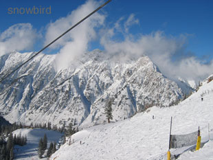 Snowbird