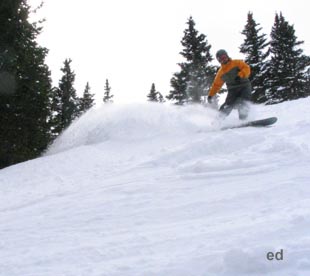 ed
