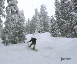 jarrett