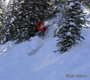 Rob Rippin'