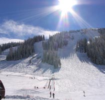 Mid-day Sunshine