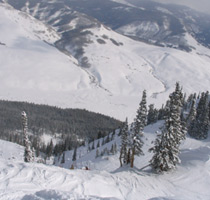 View from the Top of Spellbound