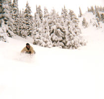 Tommy Dee on Upper Exterminator
