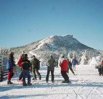 Blue Bird Pow at Jay