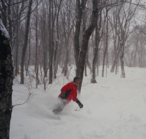 Reichert In The Dip